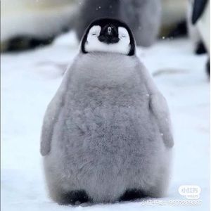 Meet your Posher, Zheshu